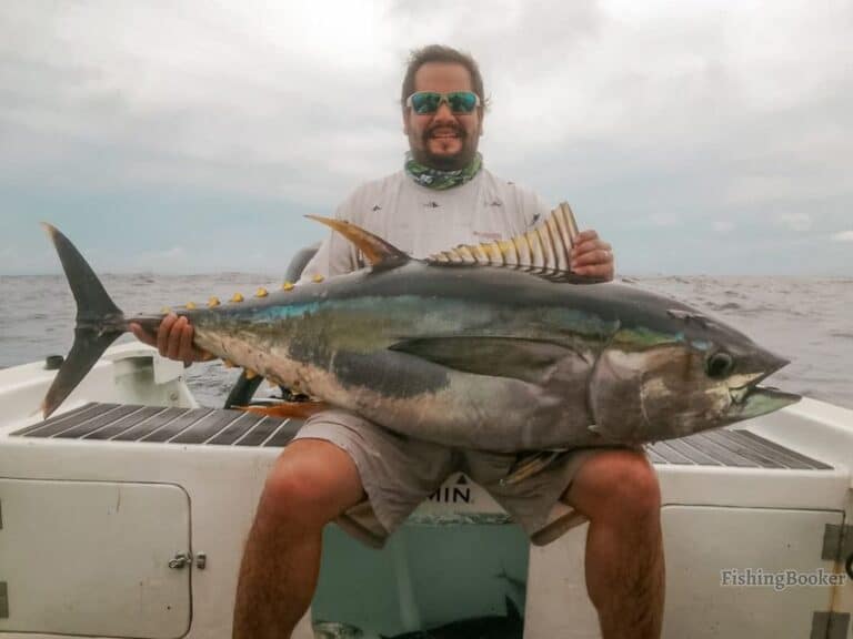 Best Times & Seasons to Fish Panama (A Complete Guide)