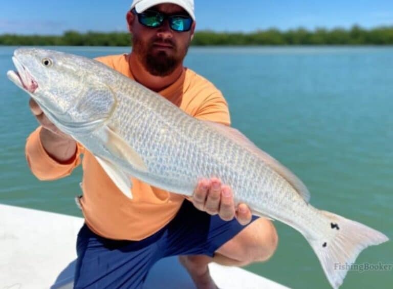 Does Fort Myers Have Good Fishing? (A Complete Guide)