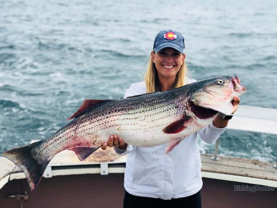 girl holding a nice striped bass
