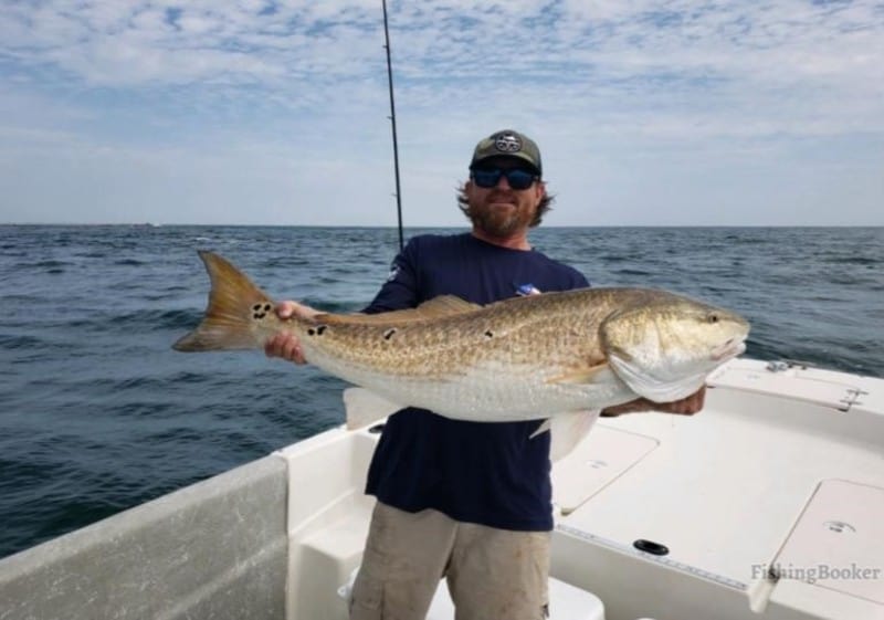 redfish in the hands of angler