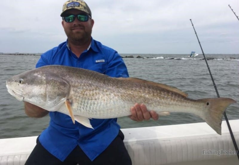 redfish caught by an angler