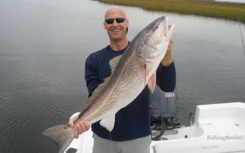 redfish fishing in Florida