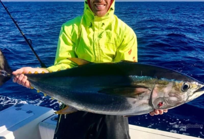 tuna caught while San Diego fishing