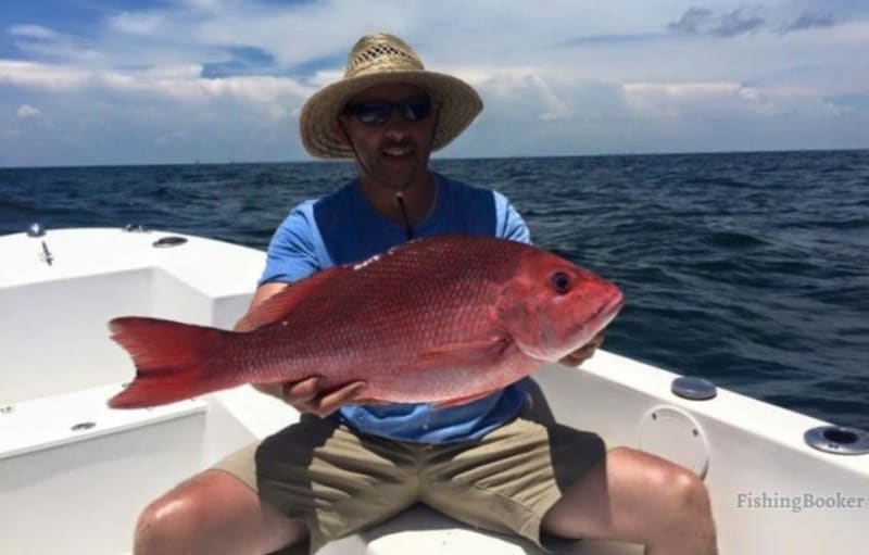 red snapper caught