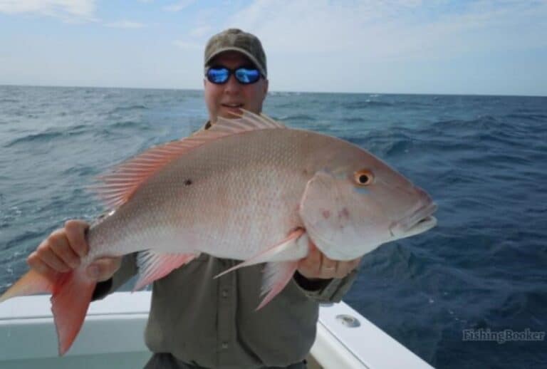 Best Times & Seasons to Fish in Key West (Complete Guide)