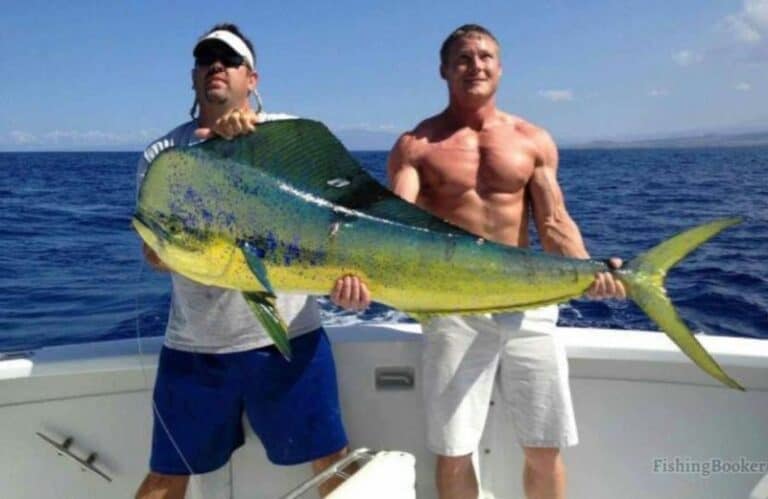 Best Times & Season to Fish Kailua-Kona (Complete Guide)