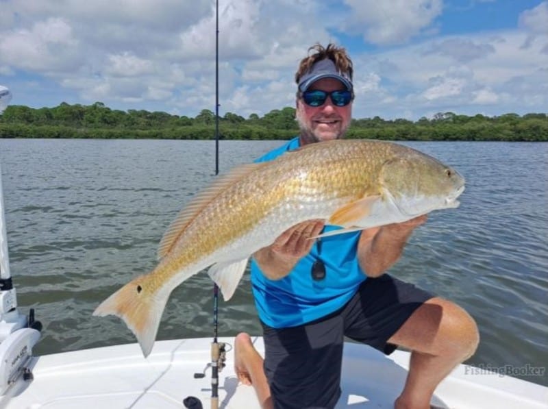 redfish in Florida