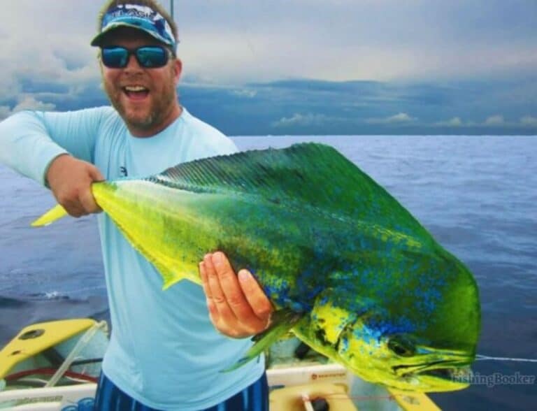 Best Seasons & Times to Fish Baja (Mexico Fishing)