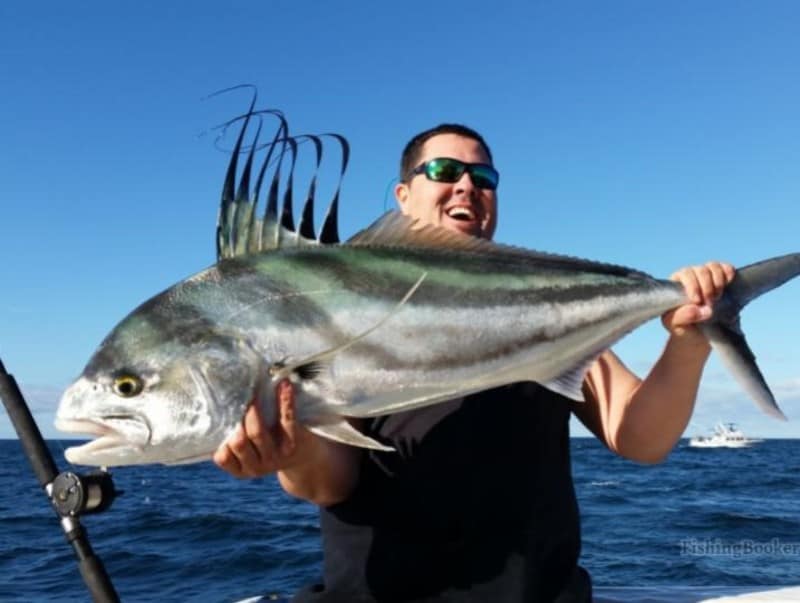 Cabo fishing for roosterfish