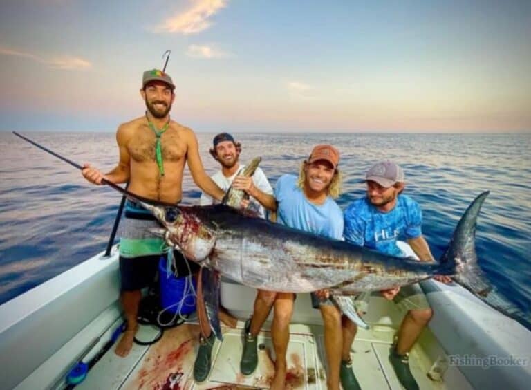 Best Times & Seasons to Catch Fish in Miami (Complete Guide)