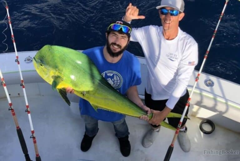 Best Times & Seasons to Catch Fish in Fort Lauderdale