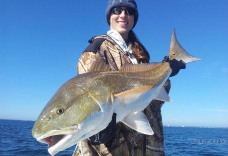 redfish caught by happy angler
