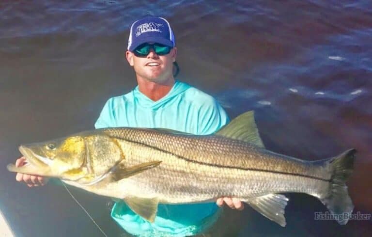 Best Times & Seasons to Fish in Naples, Florida