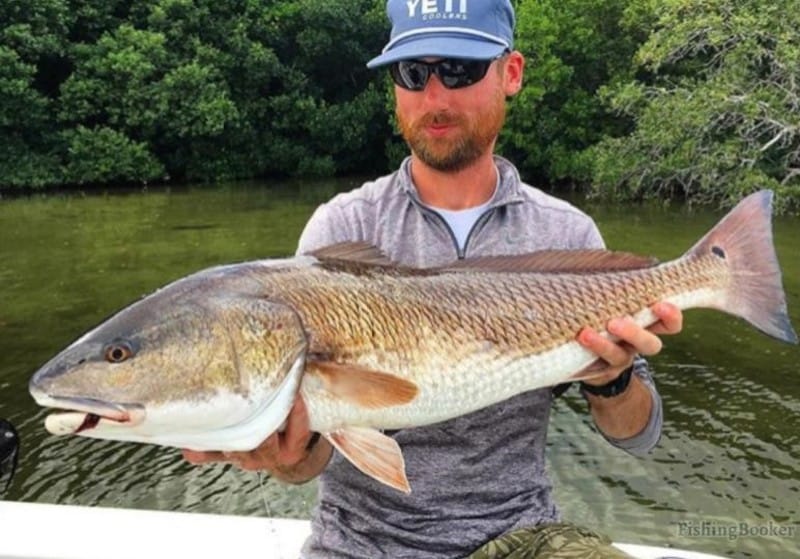 Best Times & Seasons to Fish in St. Petersburg & Tampa Freshwater