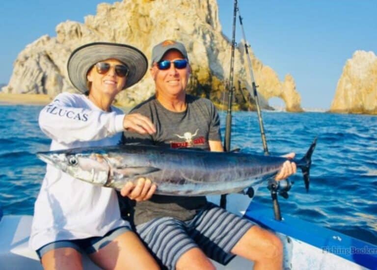 Best Times & Seasons to Fish in Cabo San Lucas (A Guide)