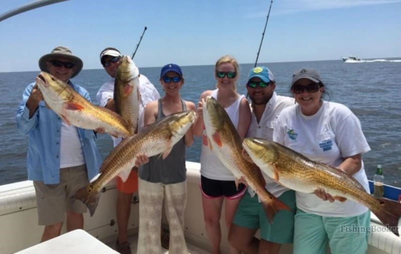 Biloxi fishing pic with a bunch of redfish caught