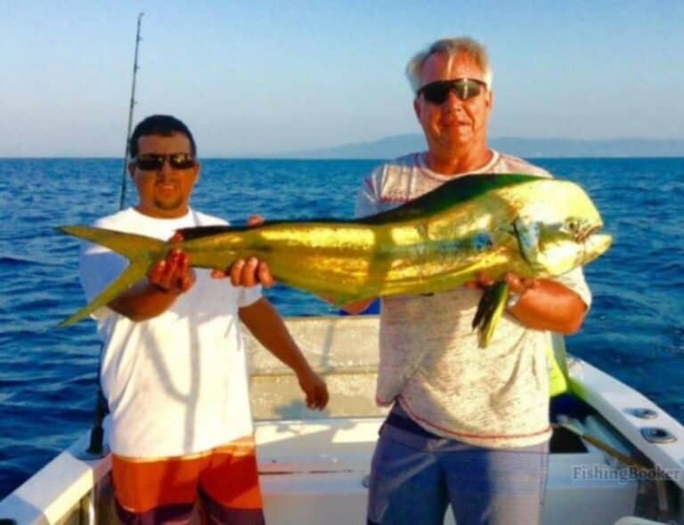 Best Times & Seasons to Fish Near Puerto Vallarta (Guide)