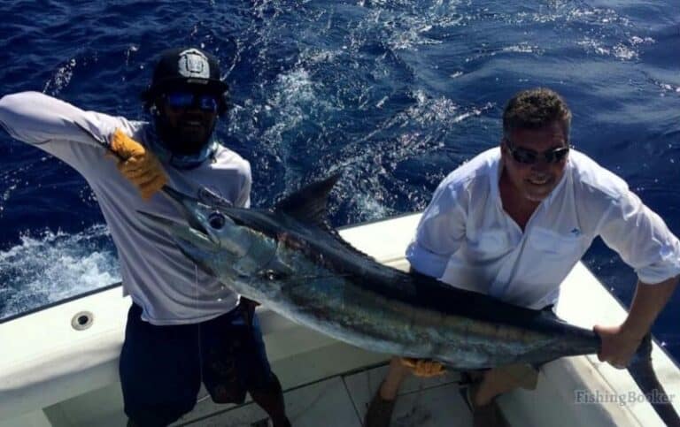 Best Times & Seasons to Fish Punta Cana (A Complete Guide)