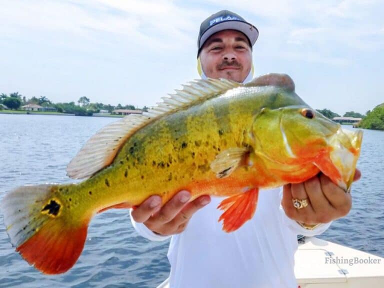 Best Times & Seasons To Fish Delray Beach, Fl (full Guide) - Freshwater 