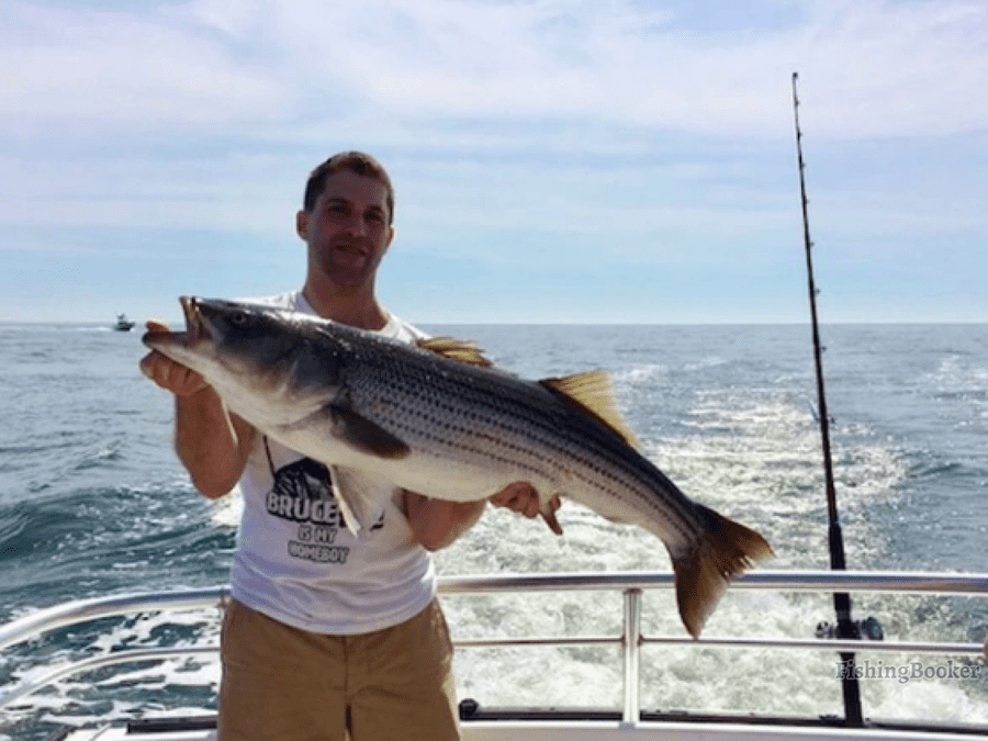 fishing photo of angler with a striped bass