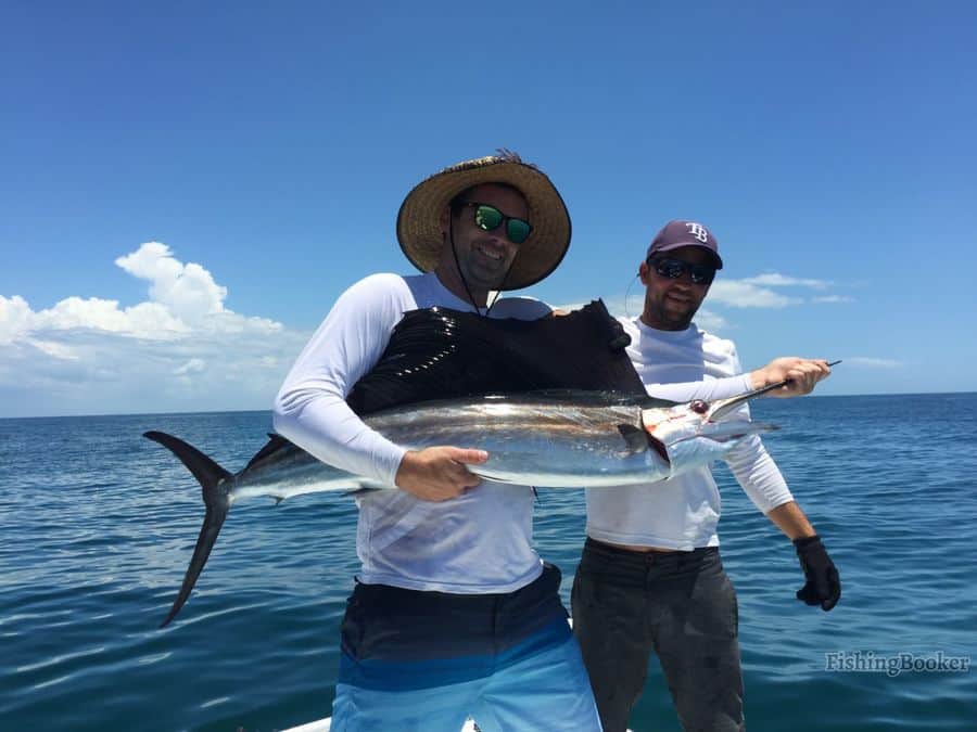 sailfish caught by friends