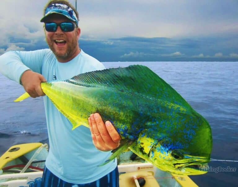 Best Times & Seasons to Fish La Paz (Complete Guide)