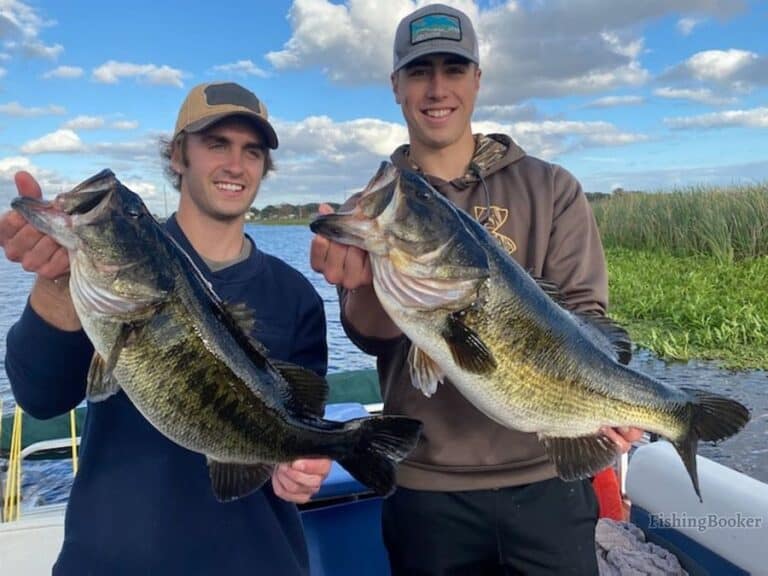 Best Times & Seasons to Catch Bass in Florida (Full Guide)