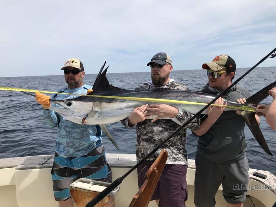 marlin fishing with friends