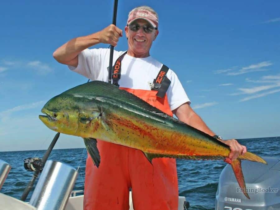fishing photo of angler with a mahi