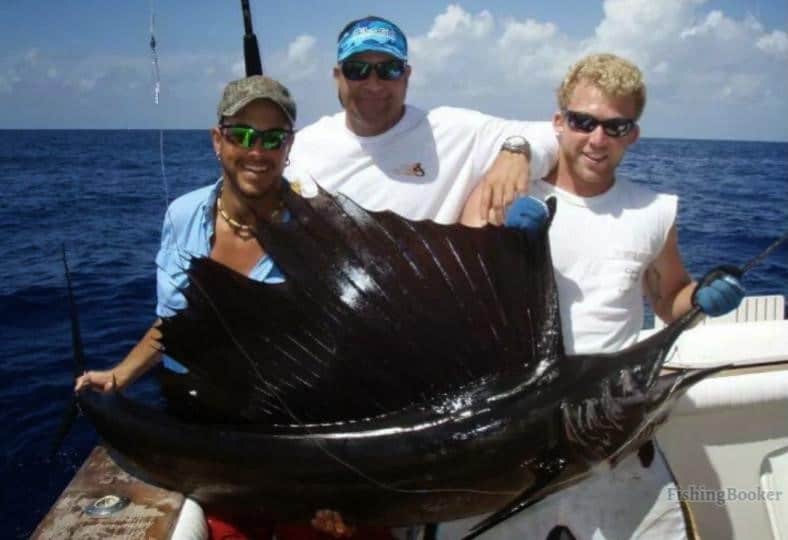 sailfish caught by an angler