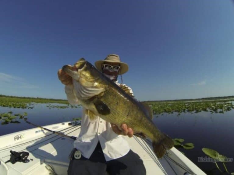 Best Times & Seasons to Fish in Lake Okeechobee (A Guide)