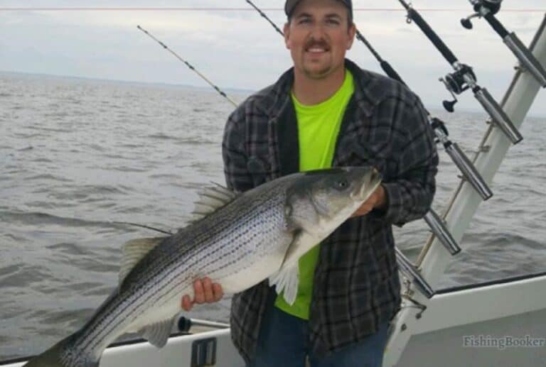 Best Times & Seasons to Fish the Chesapeake Bay (Full Guide)