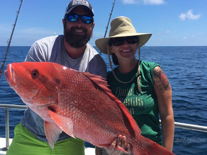 nice red snapper being held by angler