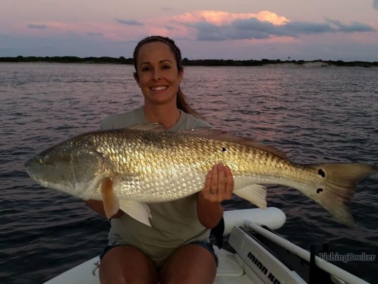 Best Times & Seasons to Fish near Port Orange, FL (A Guide)