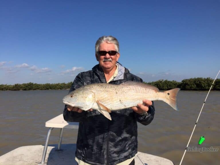 Best Times & Seasons to Fish Near Port Isabel (Full Guide)