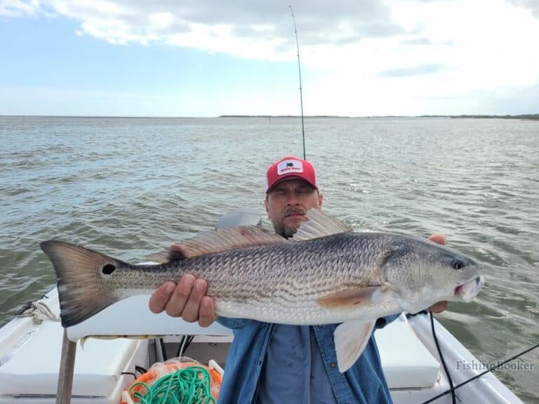 Best Times & Seasons to Fish in Folly Beach, SC (Full Guide)