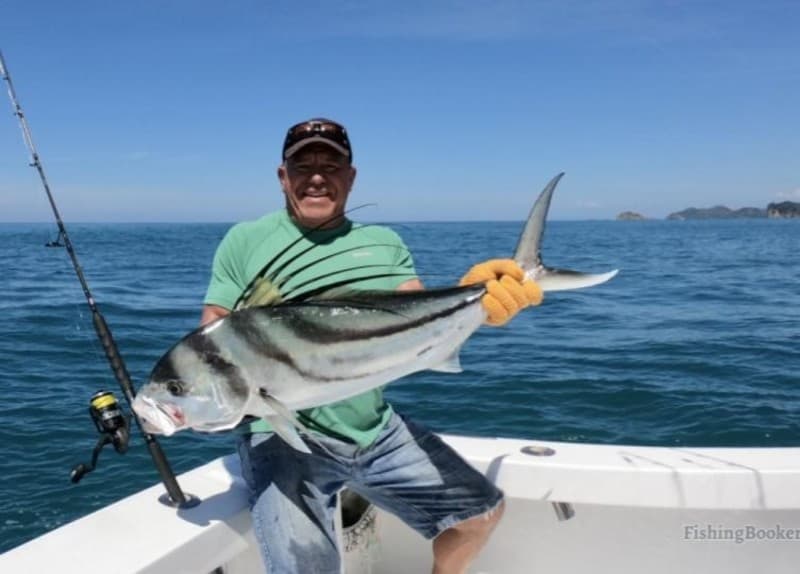 roosterfish in costa rica