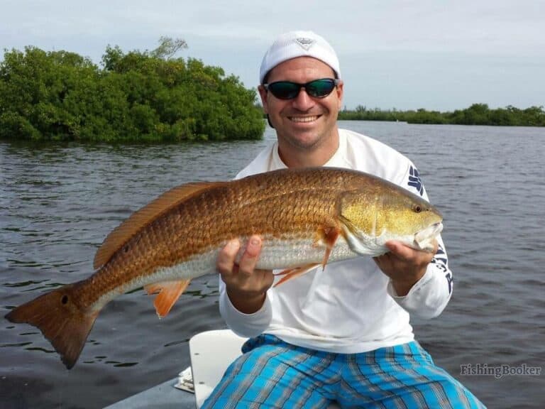 Best Times & Seasons to Fish Cape Coral, FL (A Complete Guide)