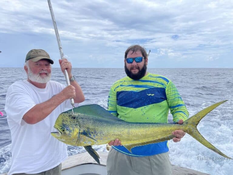 Best Times & Seasons to Fish in Topsail Beach (Full Guide)