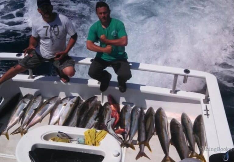 Best Times & Seasons to Fish Near Ensenada Guide