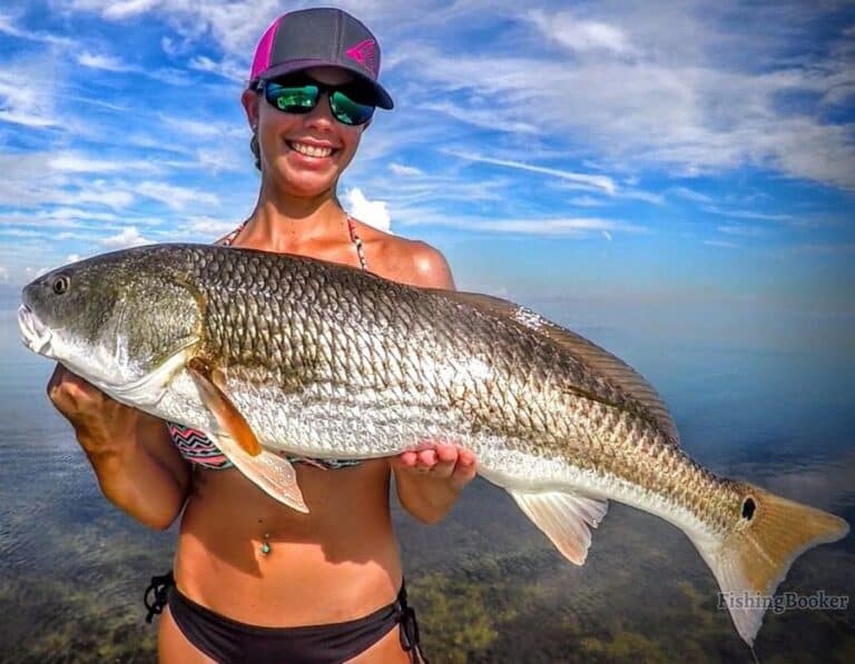 Best Times & Seasons to Fish in Crystal River (Full Guide)