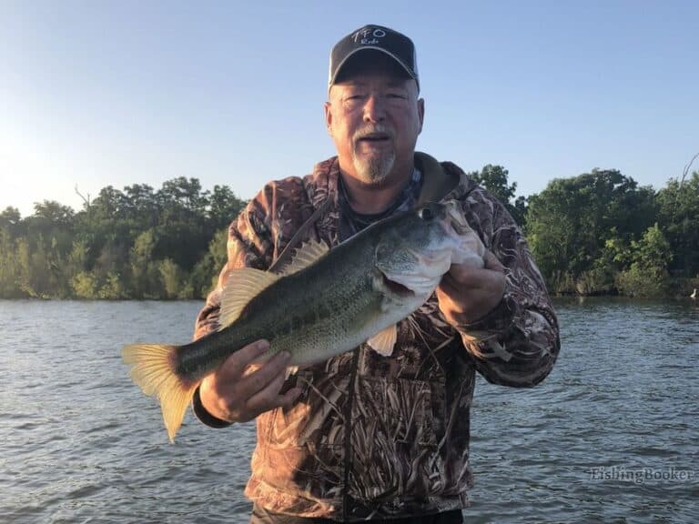 Best Times & Seasons to Catch Texas Largemouth Bass (Guide ...