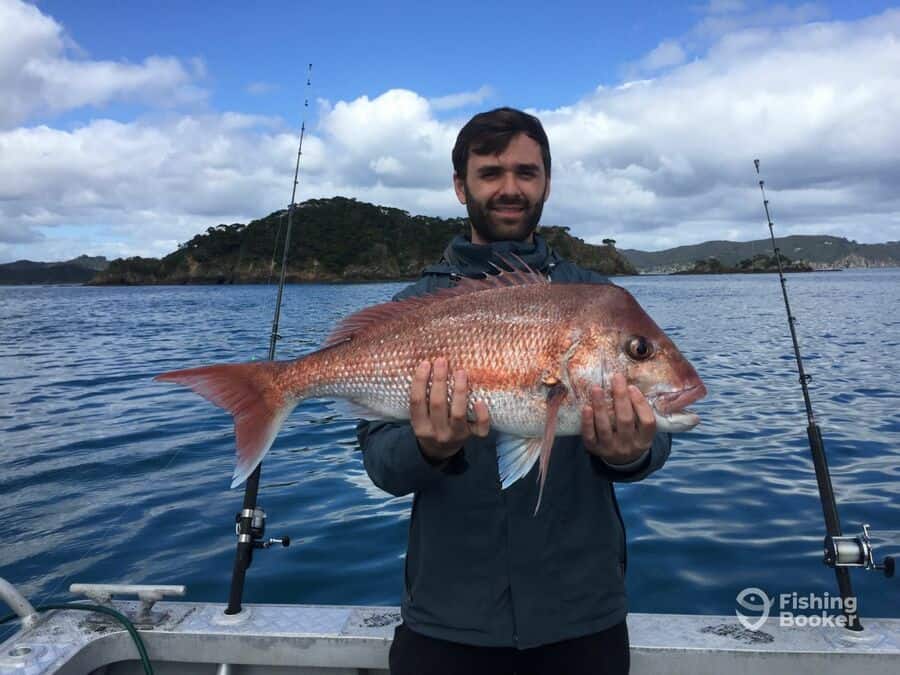 red snapper caught