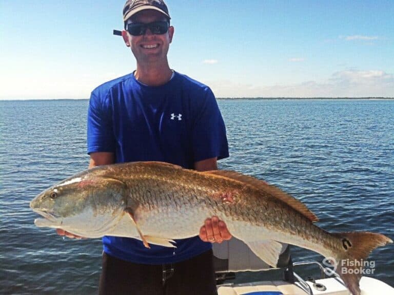 Best Times & Seasons to Fish in Grand Isle, LA (Full Guide)