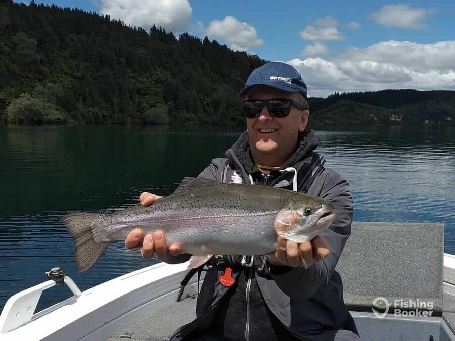 rainbow trout caught in New Zealand