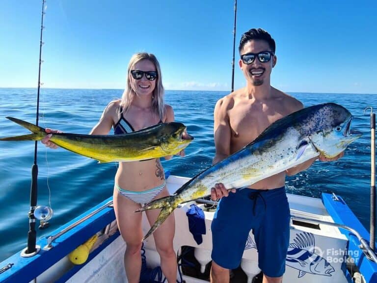 Average Cost of Cabo San Lucas Fishing Charters (Full Guide)