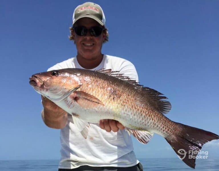 Average Cost of Pensacola, FL Fishing Charters (Full Guide)