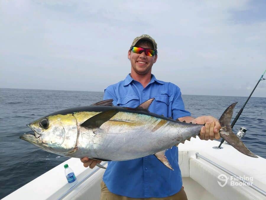 tuna fish caught