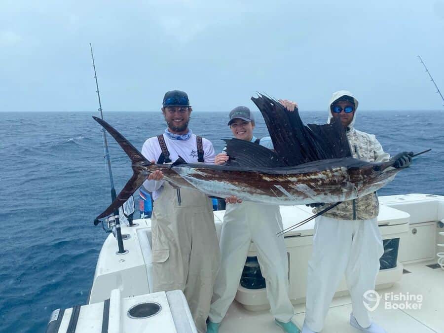 sailfish caught by fishermen