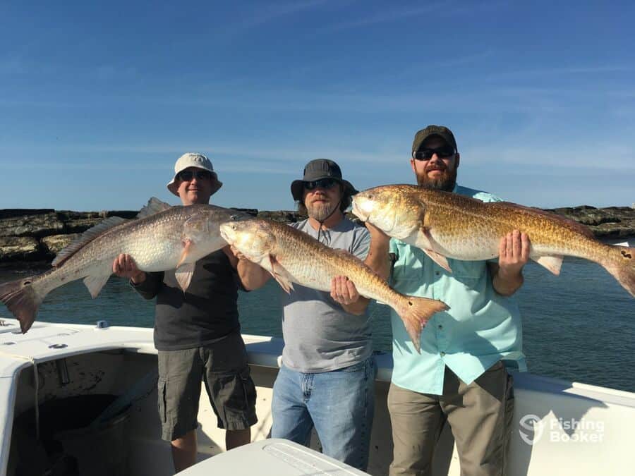 3 redfish caught
